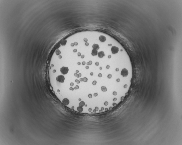 X0000112041170200909141111