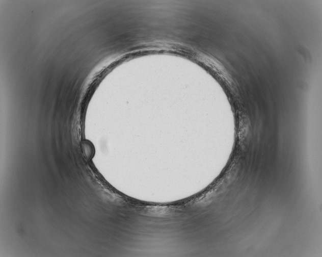 X0000112041172200909141111