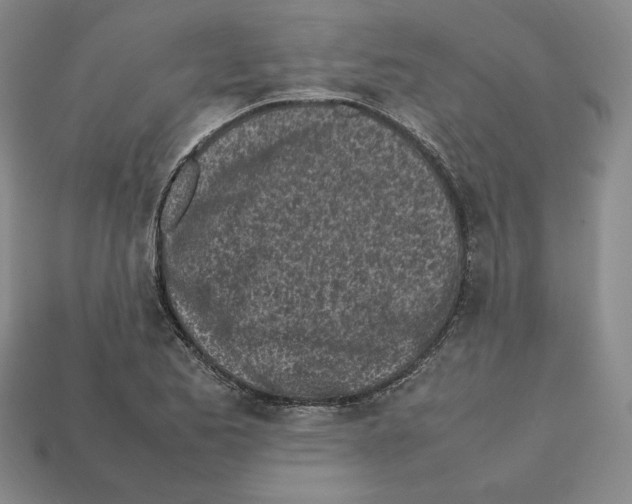 X0000112041173200909141111