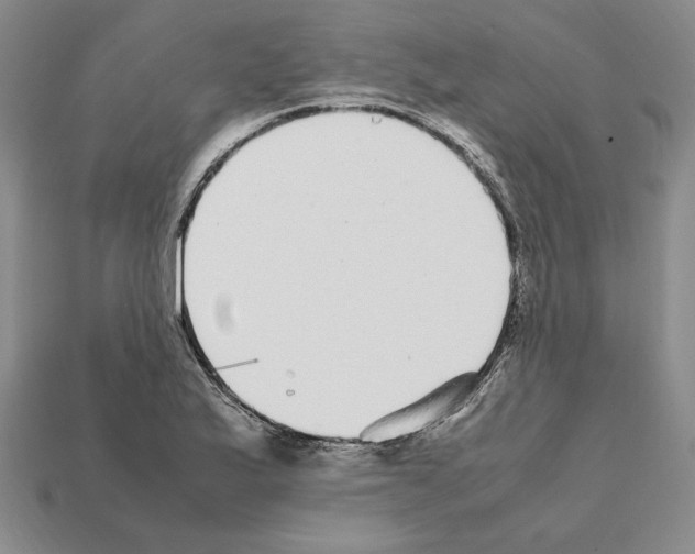 X0000112041175200909141111