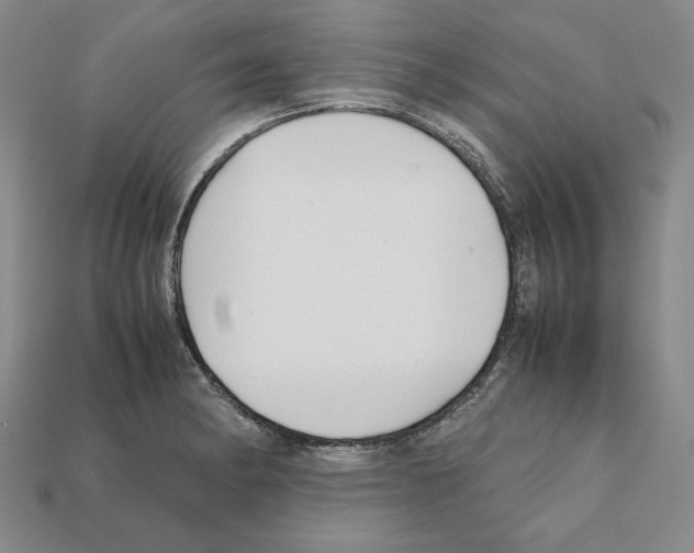 X0000112041182200909141111