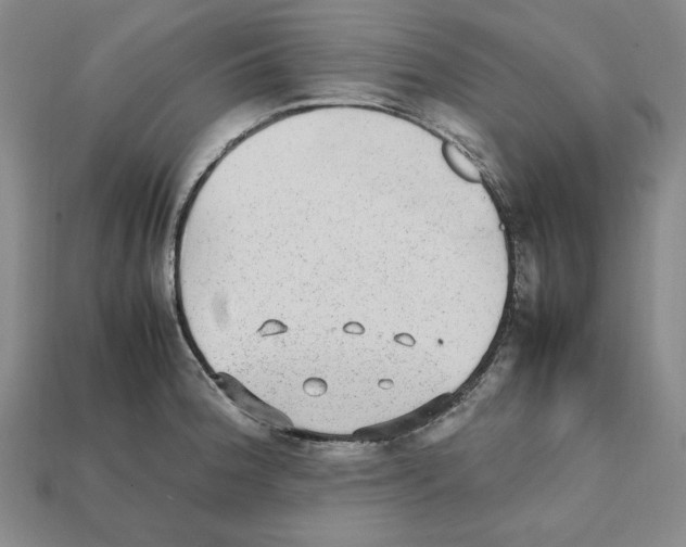 X0000112041188200909141111