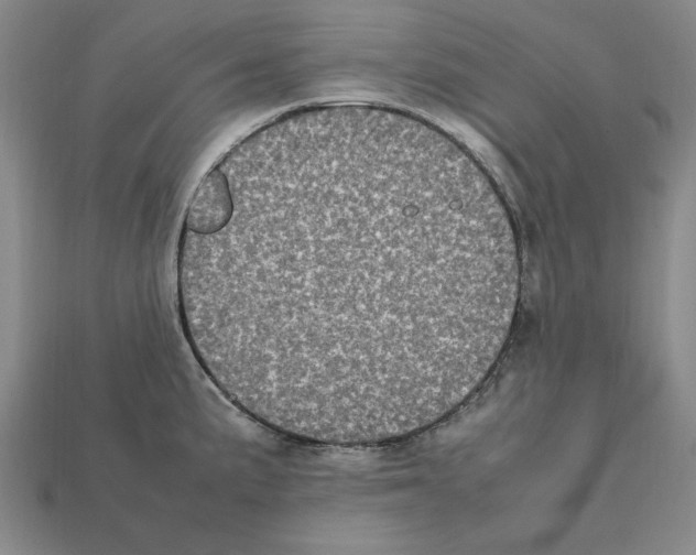 X0000112041191200909141111