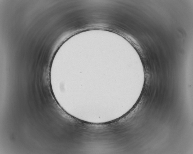 X0000112041192200909141111