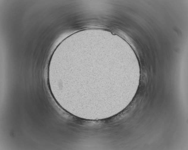 X0000112041195200909141111