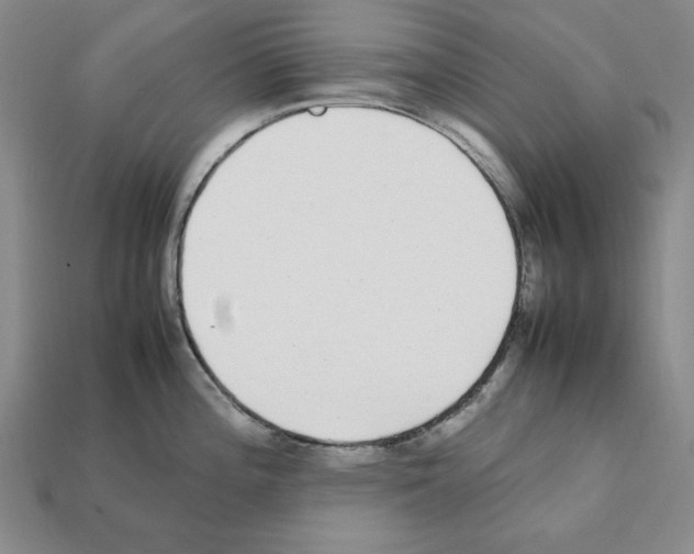 X0000112041196200909141111