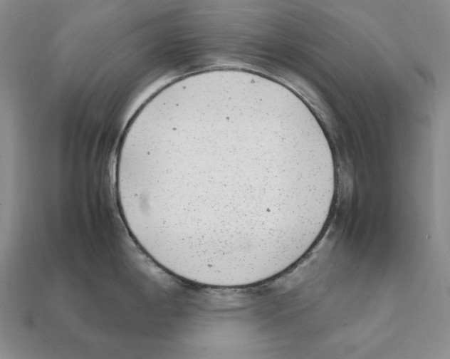 X0000112041198200909141111