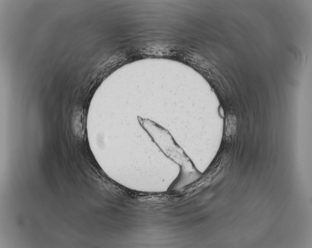 X0000112041202200909141110