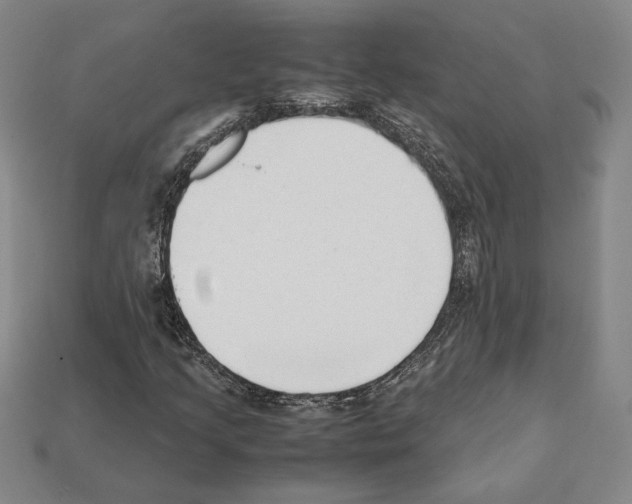 X0000112041205200909141110