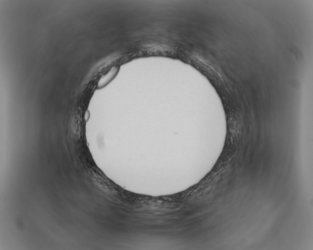 X0000112041207200909141110