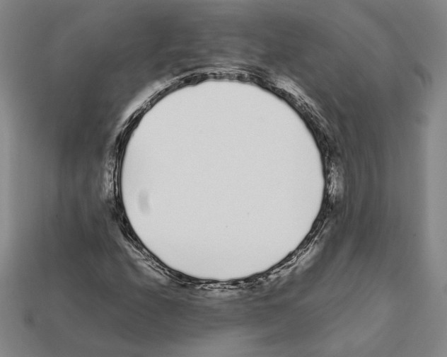 X0000112041208200909141110