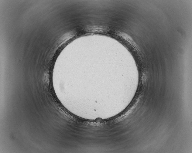 X0000112041209200909141110
