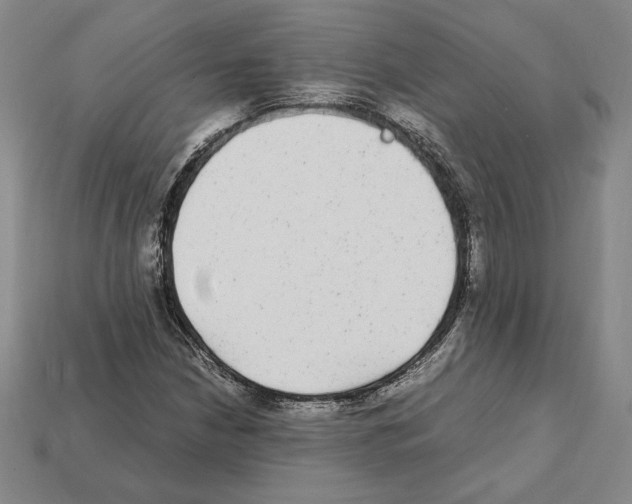 X0000112041210200909141110