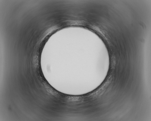 X0000112041211200909141110