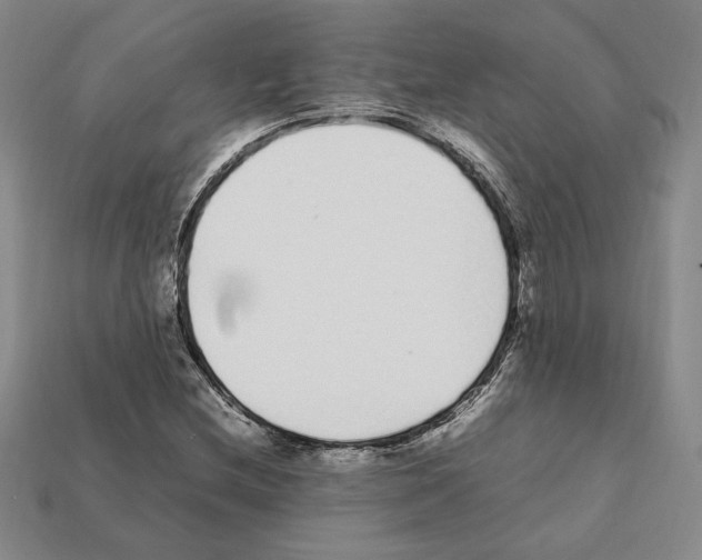 X0000112041212200909141110
