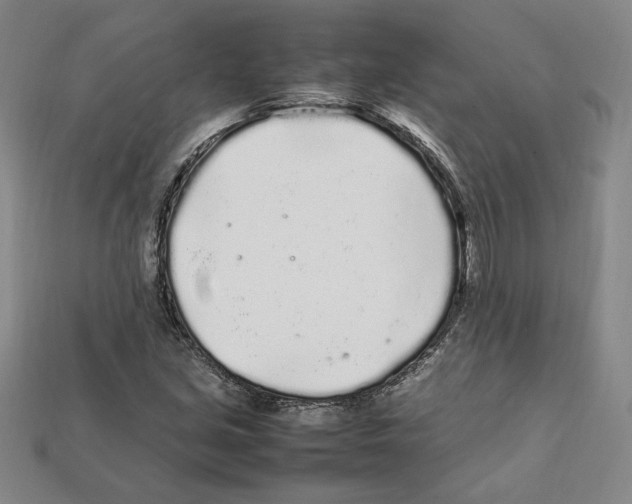 X0000112041213200909141110