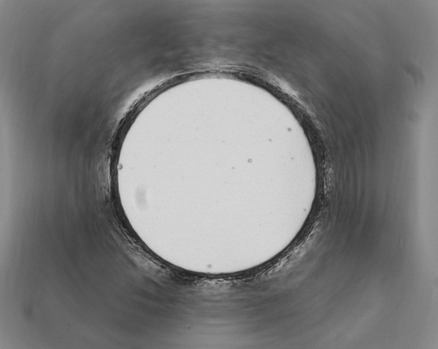 X0000112041214200909141110