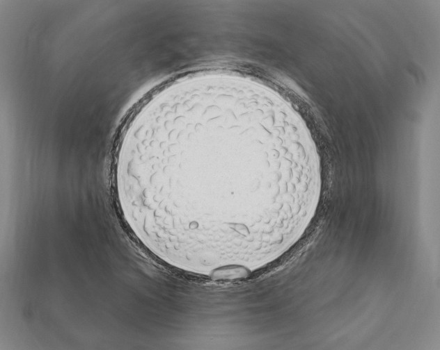 X0000112041216200909141110