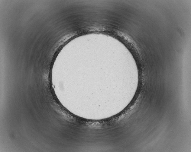 X0000112041217200909141110