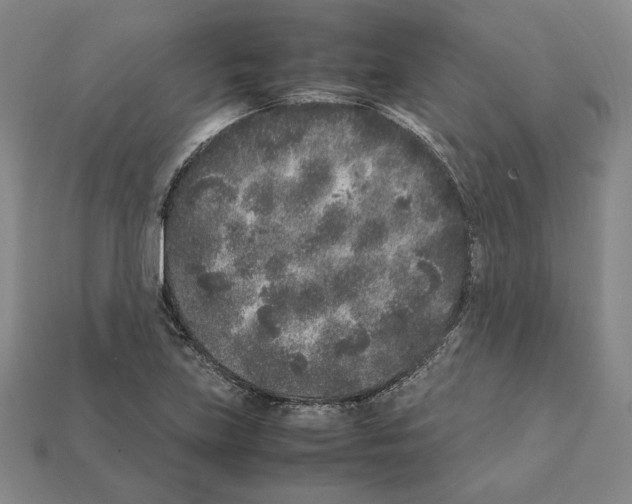 X0000112041219200909141110