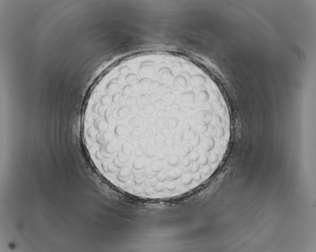 X0000112041220200909141110