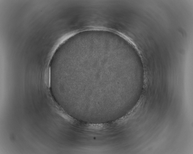 X0000112041223200909141110