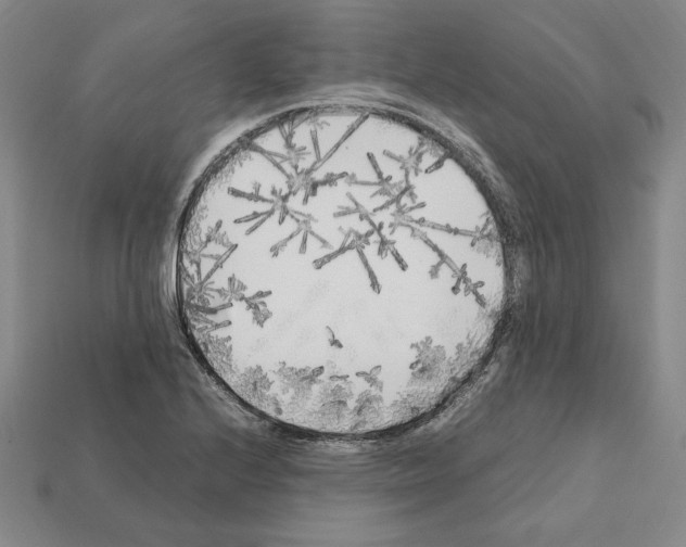 X0000112041224200909141110