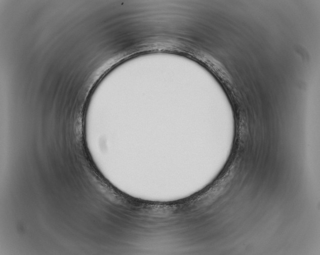 X0000112041226200909141110