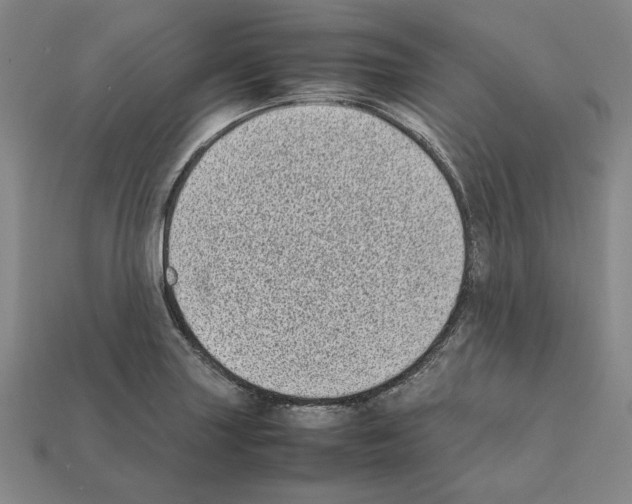 X0000112041227200909141110
