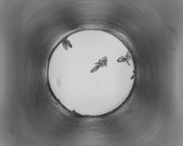 X0000112041228200909141110