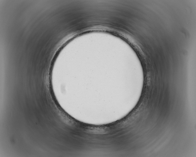 X0000112041229200909141110