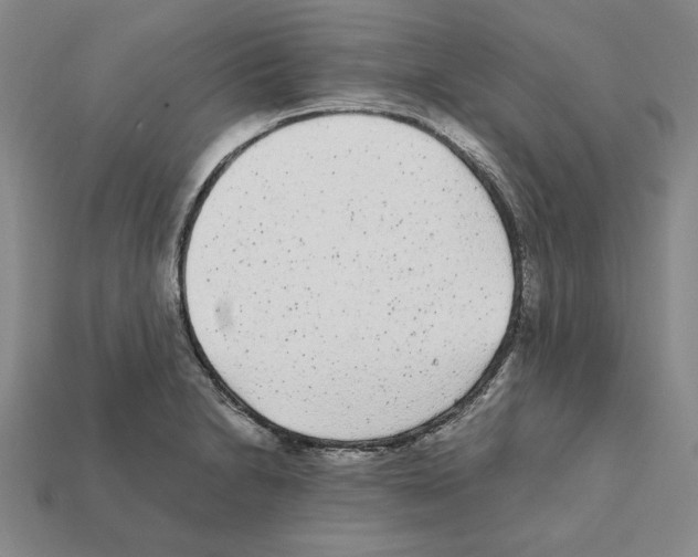 X0000112041230200909141110