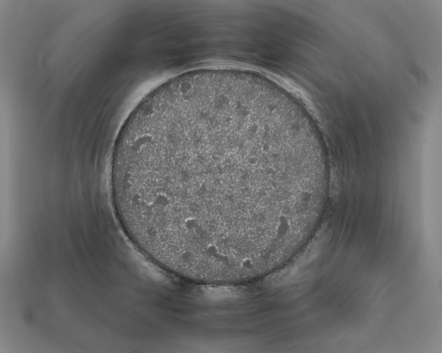 X0000112041231200909141110