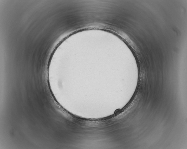 X0000112041232200909141110
