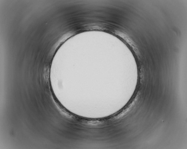 X0000112041233200909141110