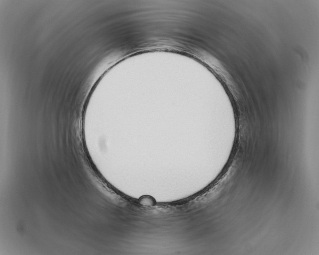 X0000112041234200909141110