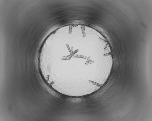 X0000112041235200909141110