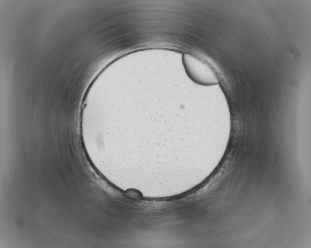X0000112041236200909141111