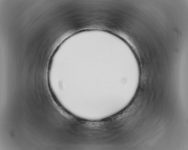 X0000112041237200909141111