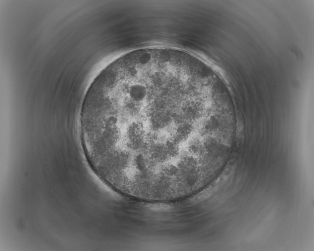 X0000112041239200909141111