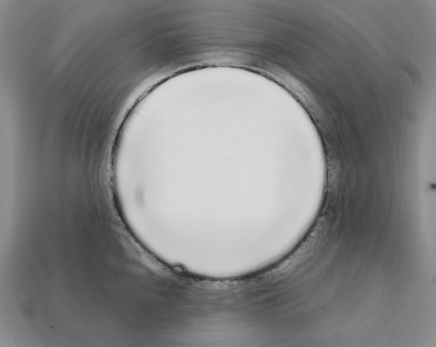 X0000112041240200909141111