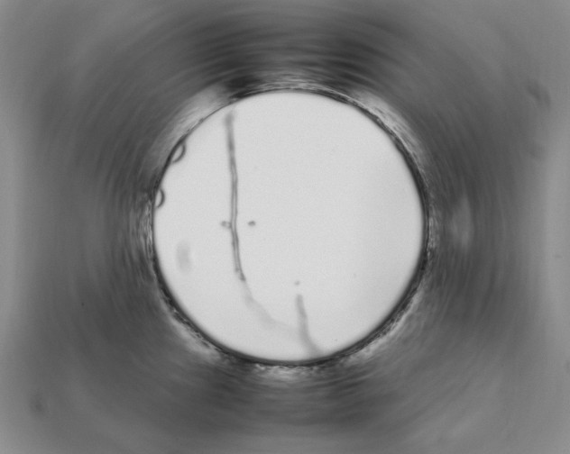 X0000112041241200909141111