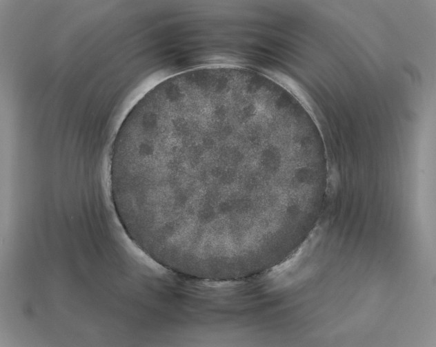X0000112041243200909141111