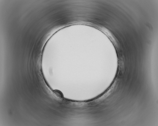 X0000112041244200909141111