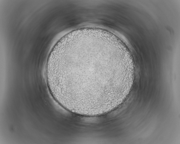 X0000112041247200909141111