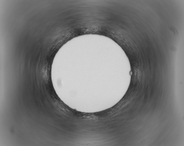 X0000112041250200909141110
