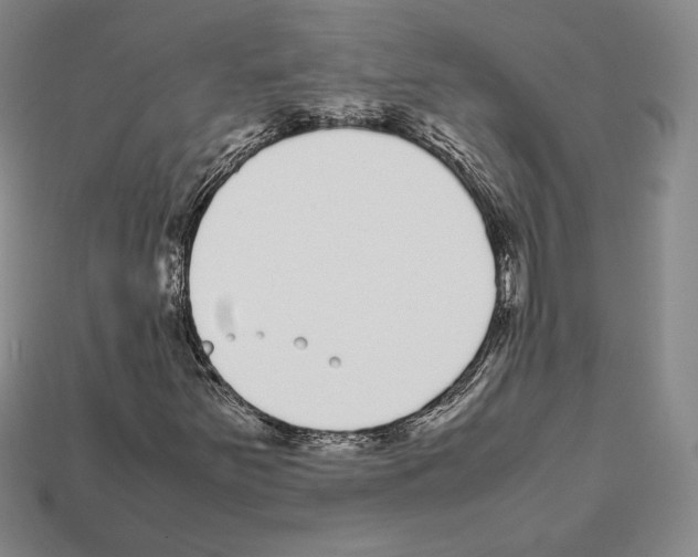 X0000112041251200909141110