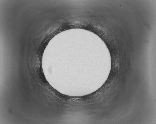 X0000112041253200909141110