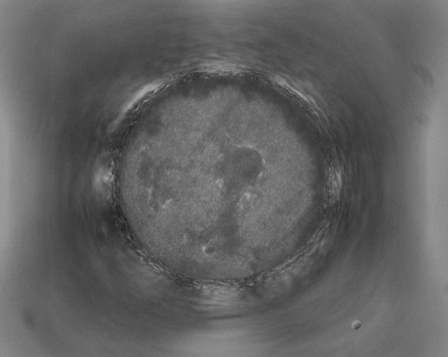 X0000112041254200909141110
