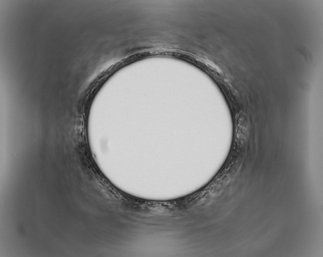 X0000112041255200909141110